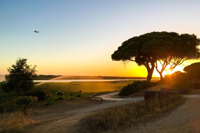Ria Formosa Natural Park Birdwatching Segway Tour from Faro - Quinta do Lago adds a surprising second act