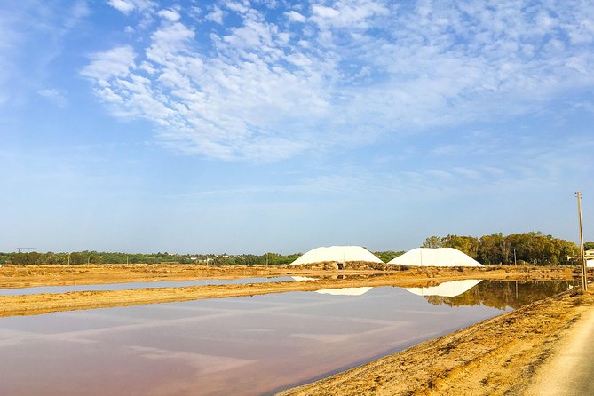 Ria Formosa Natural Park Birdwatching Segway Tour from Faro - Heat, timing, and what to bring