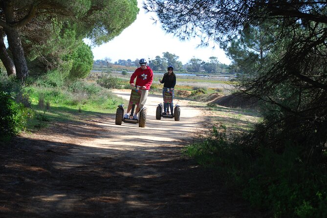 Ria Formosa Natural Park Birdwatching Segway Tour from Faro - Marshes, lagoons, and tidal flats