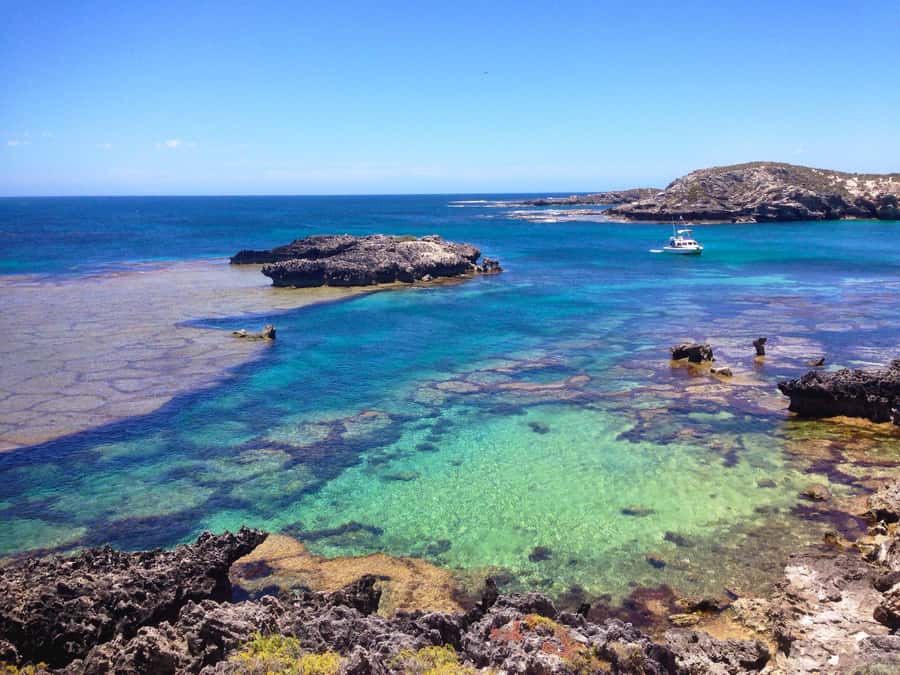 Rottnest Island Segway 1-Hour Settlement Tour - The $69 price and what you receive