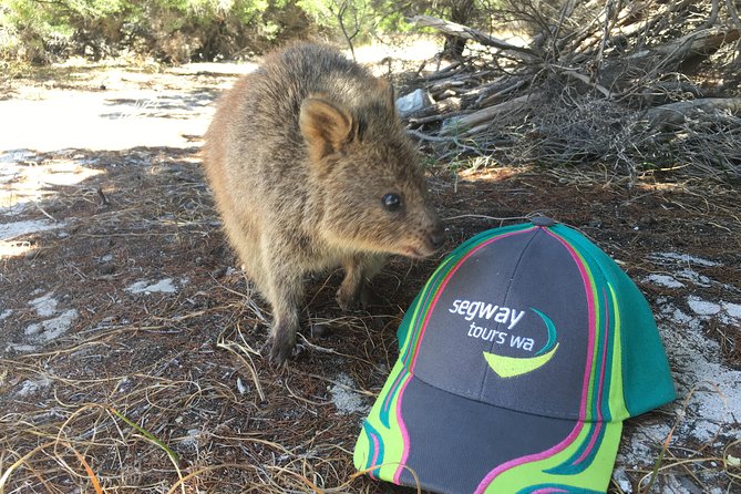 Rottnest Island Segway Tour: Fortress Adventure Tour - Bickley Battery and Rottnest’s defence role