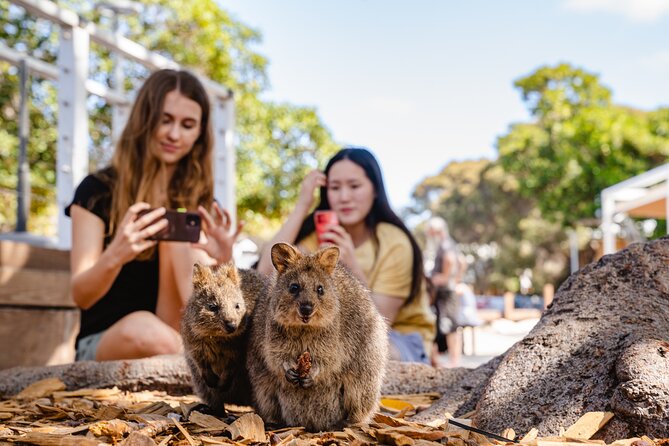 Rottnest Island Segway Tour: Settlement Explorer Tour - What the $70.29 price gives you