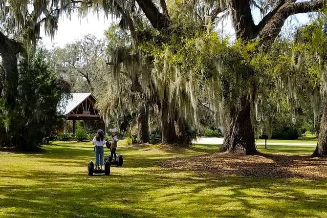 Segway Eco Discovery Tour at Honey Horn (90 minutes) - Why Honey Horn makes a good Segway setting