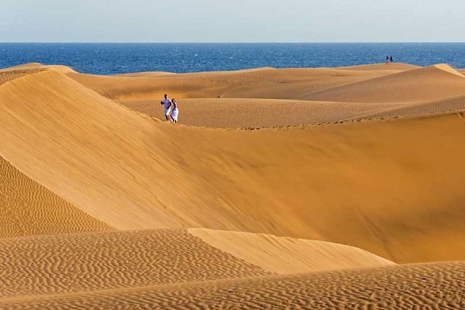 Segway Experience 1 hour Sightseeing Tour : Visit Maspalomas Dunes, Playa Ingles - Is $53.23 a fair price?