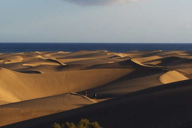 Segway Experience 1 hour Sightseeing Tour : Visit Maspalomas Dunes, Playa Ingles - Who will enjoy this most