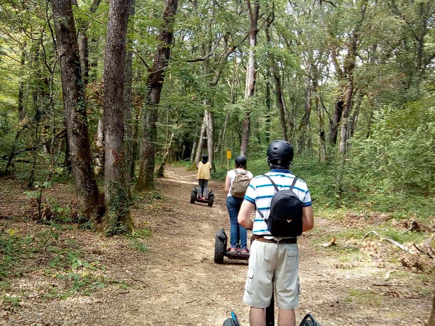 Segway hike 2h00 Aix les Bains between lake and forest - The return route through wetlands and the wild coast