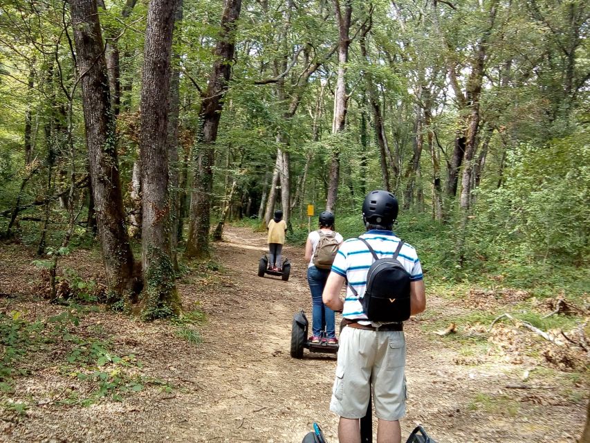 Segway hike 2h00 Aix les Bains between lake and forest - What the $76 price means