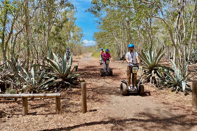 Segway Ride Étang-Salé de la forêt à la mer - What you see inside the Étang-Salé forest