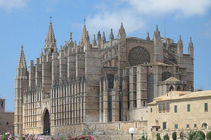 Segway Tour 1 Hour in Palma - Quick reasons to consider this Palma tour