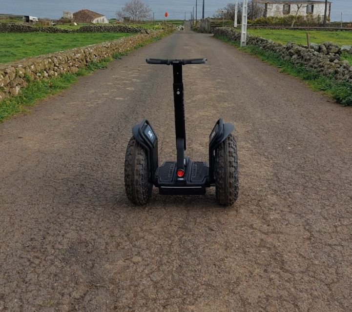 Segway Tour Praia da Vitoria | Terceira Island - Meeting the working side of the fishing area