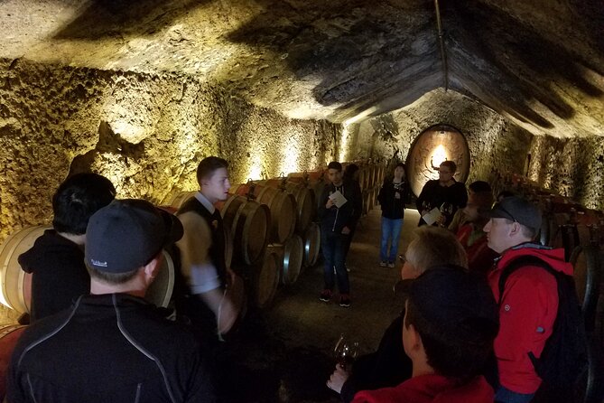 Sonoma County Wine Segway Tour - Wine tasting costs and the real value