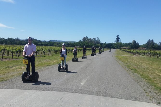 Sonoma County Wine Segway Tour - The guides shape the day
