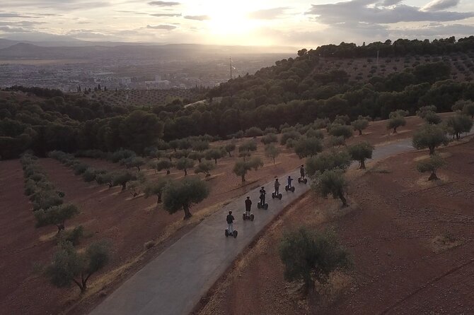 Tour in Granada Off Road Segway - Following the tree-lined approach to the Alhambra