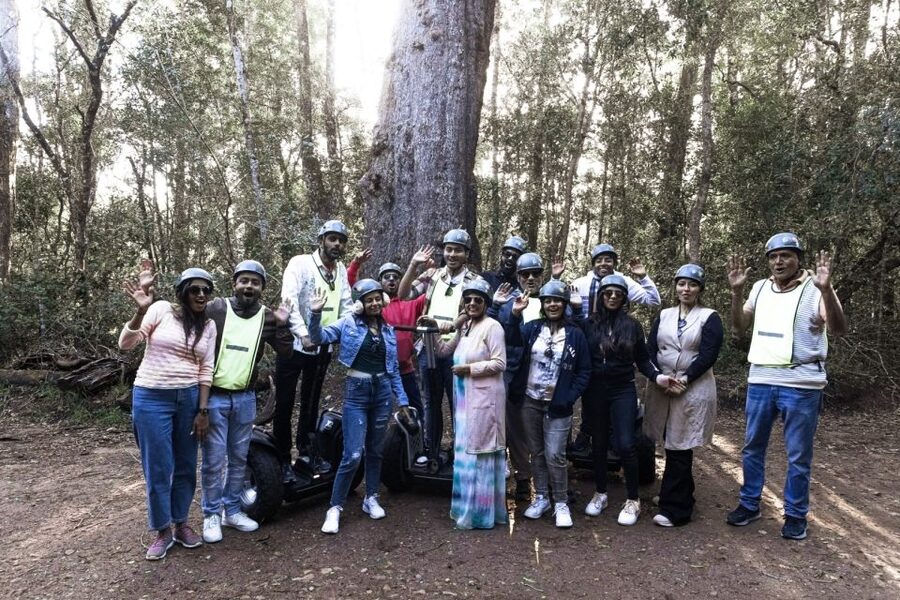 Tsitsikamma National Park: 1 or 2-Hour Segway Tour - Entering the ancient Tsitsikamma indigenous forest