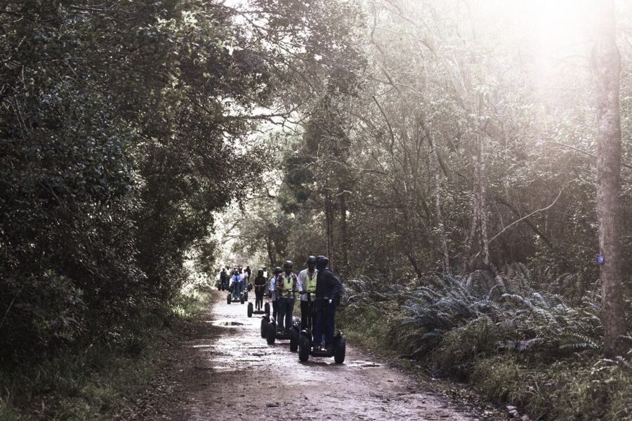 Tsitsikamma National Park: 1 or 2-Hour Segway Tour - What the guides add to the experience