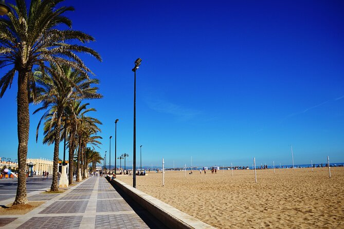 Valencia Beach Segway Experience – Private Tour" - The busy return through the city