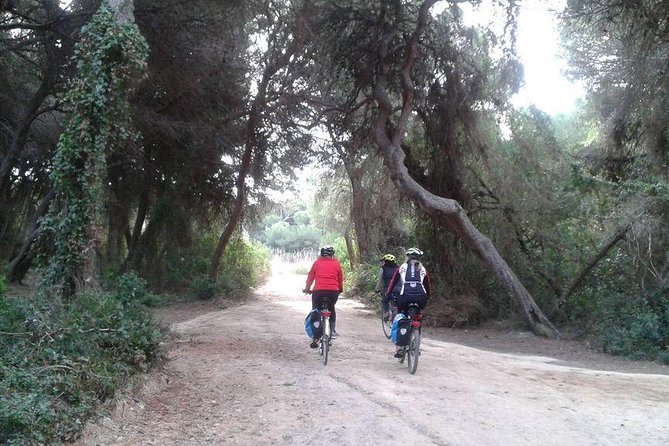 Valencia Bike or Segway Tour - Starting at the Serranos Towers in Valencia’s old center