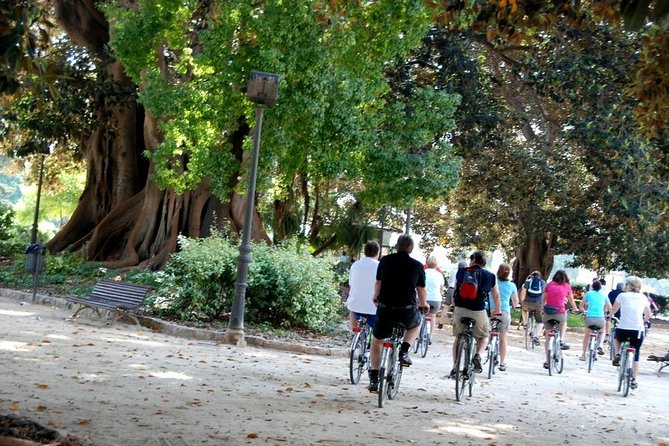 Valencia Bike or Segway Tour - Seeing Calatrava’s bridges and the City of Arts and Sciences