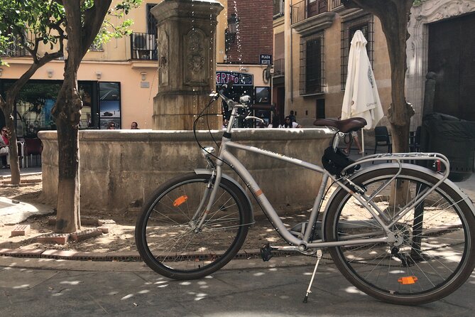 Valencia Old Town Private Tour by Bike or Electric Ride - The Central Market and the old Arab souk
