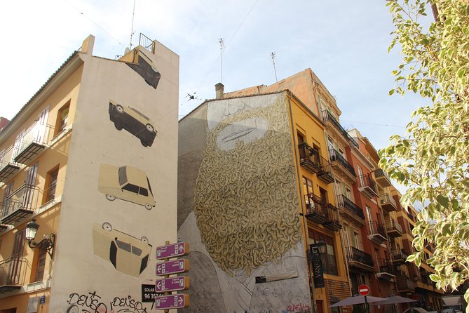 Valencia Street Art | Private Tour by Bike or Electric Ride - Starting at Carrer de l’Herba 4 in Ciutat Vella
