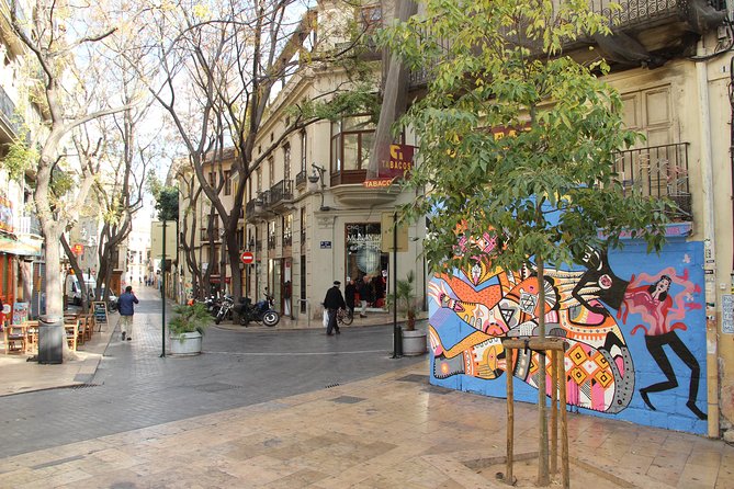 Valencia Street Art | Private Tour by Bike or Electric Ride - Street art with stories, not just photographs