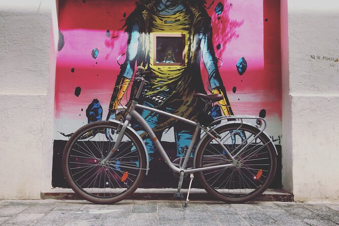 Valencia Street Art | Private Tour by Bike or Electric Ride - Is $72.01 per person good value?