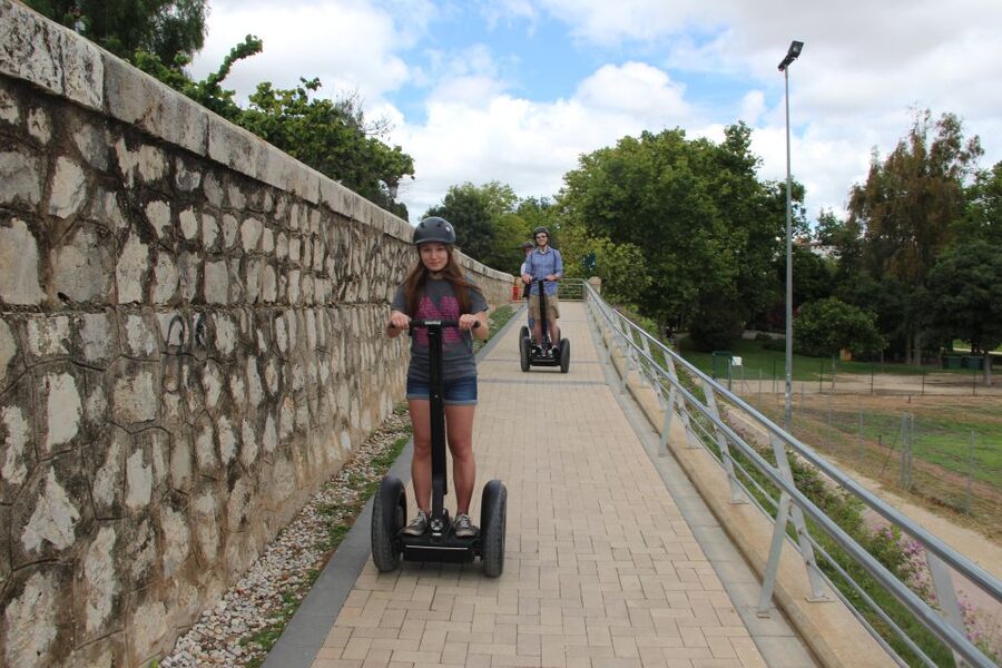 Valencia: Turia Park Segway Tour - The modern Alameda Bridge