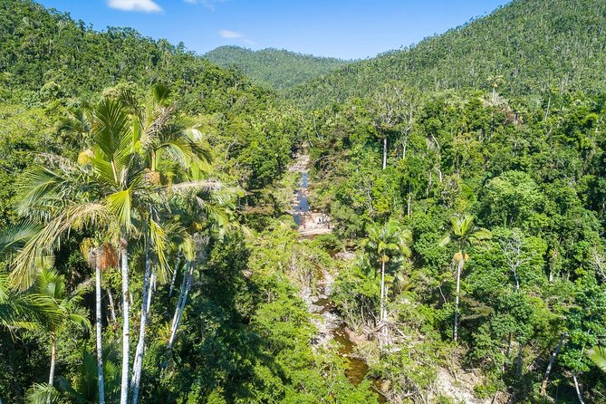 Whitsunday Segway Rainforest Discovery Tour - Key points at a glance