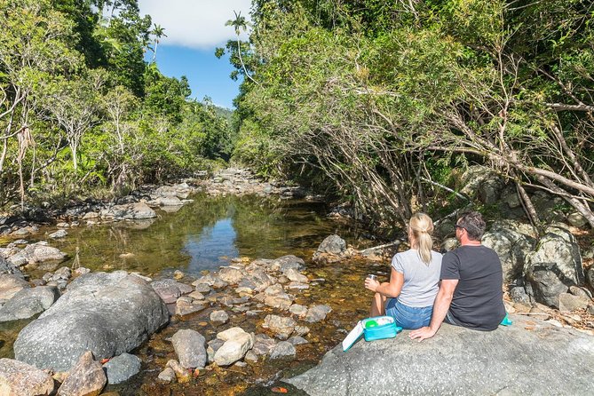 Whitsunday Segway Rainforest Discovery Tour - Impulse Creek and the morning tea stop