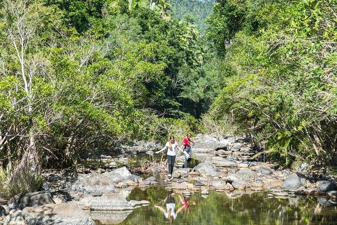 Whitsunday Segway Rainforest Discovery Tour - Group size, pace, and comfort
